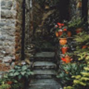 Meet your Posher, April